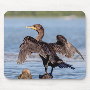 Double-crested Cormorant on Lake Champlain Mouse Mat