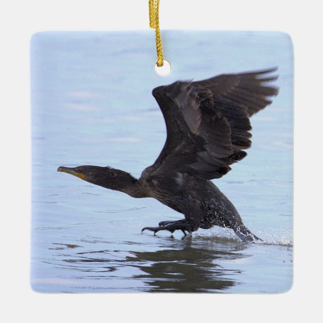 Double-crested Cormorant Ornament  (Front)
