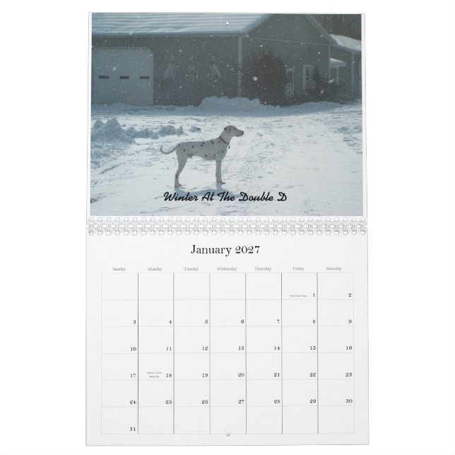 Double- D- Dalmatians  2010 Calendar (Jan 2027)