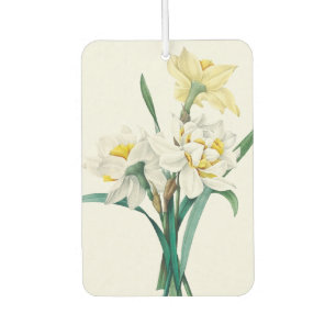 Double Daffodil,  Pierre-Joseph Redouté, 1827 Car Air Freshener