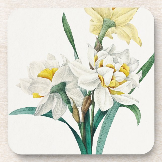 Double Daffodil,  Pierre-Joseph Redouté, 1827 Coaster (Front)