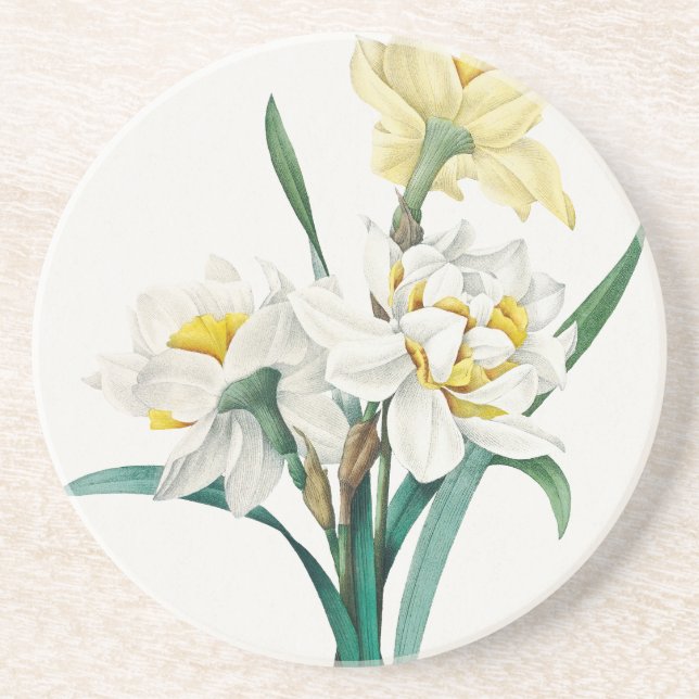 Double Daffodil,  Pierre-Joseph Redouté, 1827 Coaster (Front)