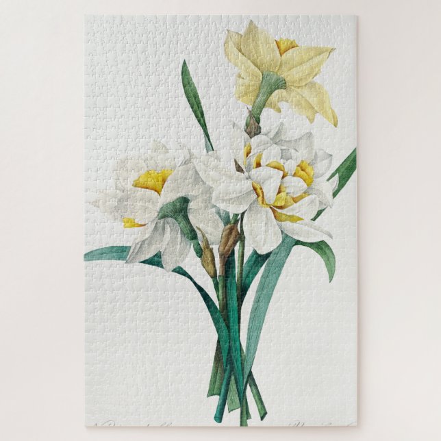 Double Daffodil,  Pierre-Joseph Redouté, 1827 Jigsaw Puzzle (Vertical)