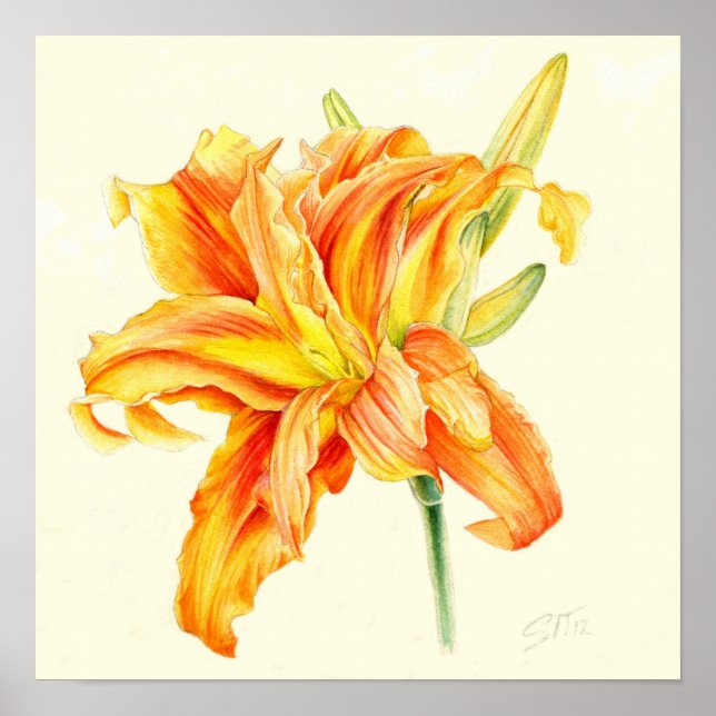 Double Daylily Hemerocallis orange watercolor Poster (Front)