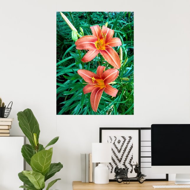 Double Daylily Orange Flower Photo Print Poster (Home Office)