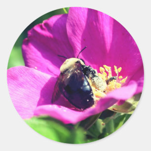 Double Duty Bees Flower  Classic Round Sticker