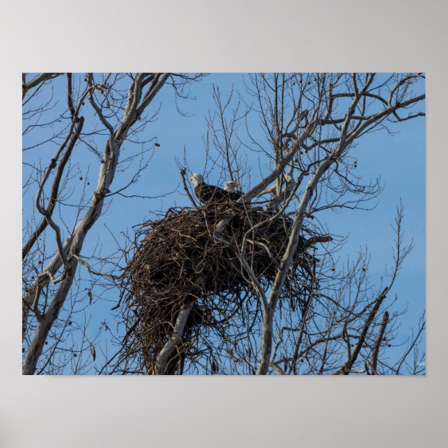 Double Eagle Trouble Poster (Front)