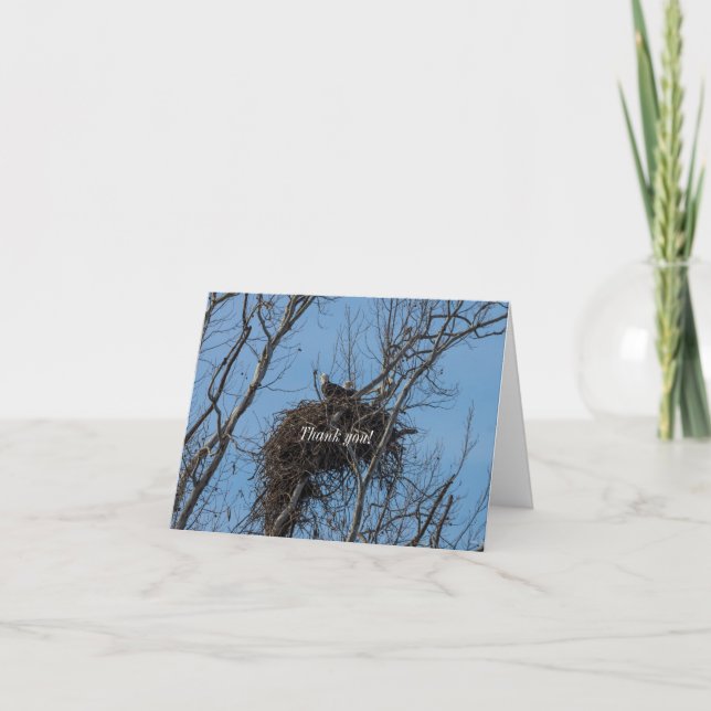 Double Eagle Trouble Thank You Card (Front)