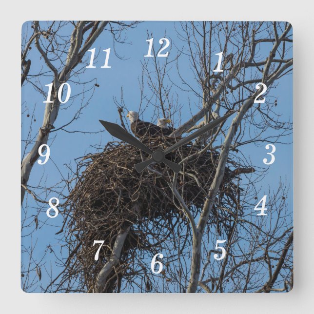 Double Eagle Trouble Wall Clock (Front)