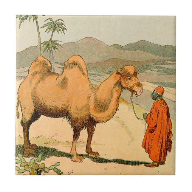 Double-Hump Camel in the Mongolian Desert Tile (Front)