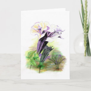 Double Lavender Angel Trumpet Greeting Card