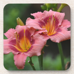 Double Lily Coaster