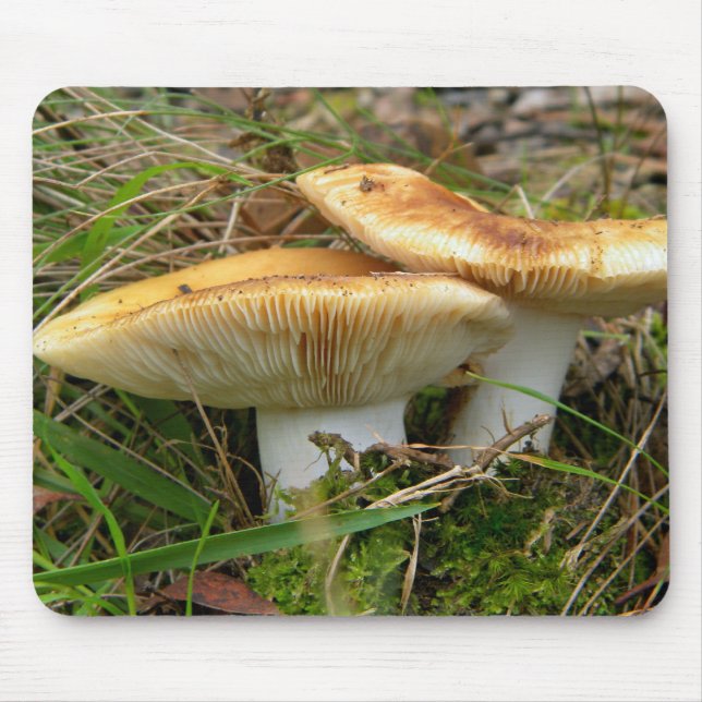 Double Mushroom Mousepad (Front)