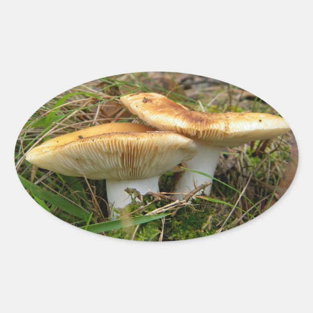 Double Mushroom Sticker (Front)