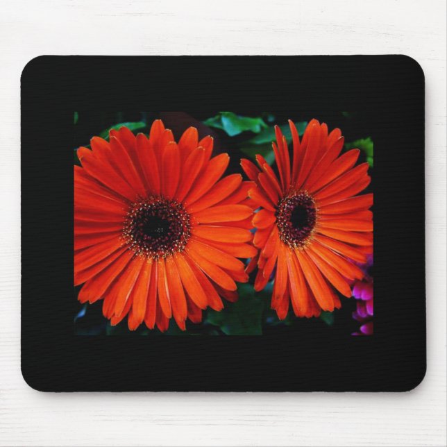 double orange colour daisy flowers mouse mat (Front)
