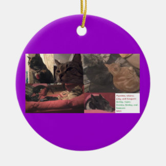 Double Ornament in one #2