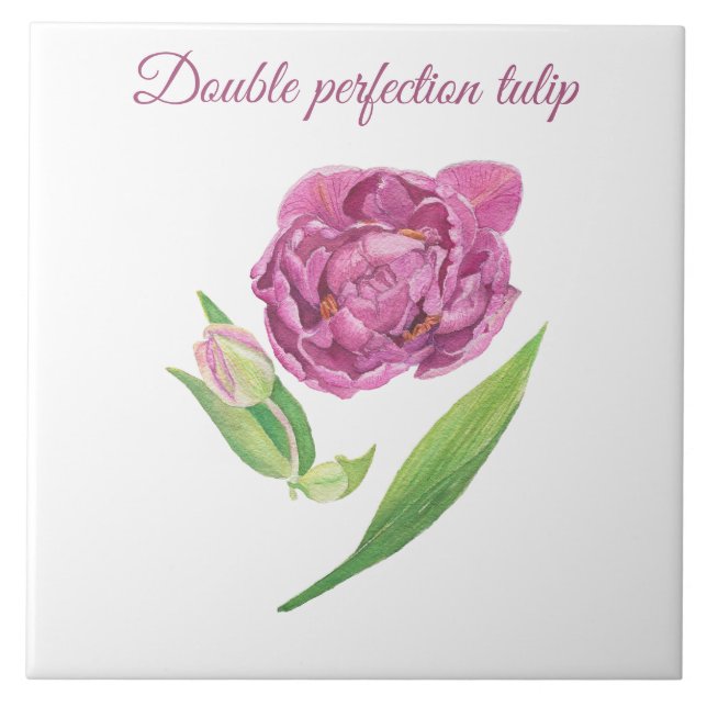 Double perfection tulip botanical watercolor tile (Front)