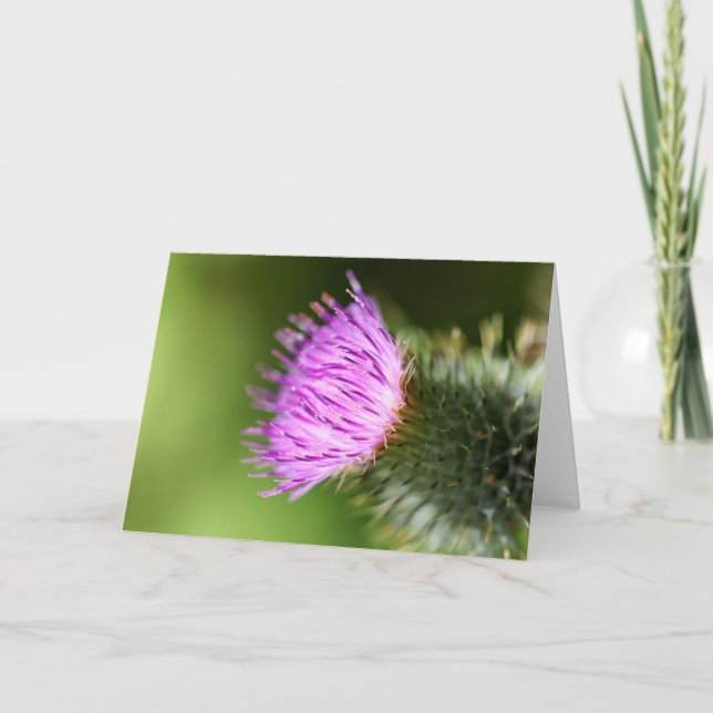 Double Pink Cherry Blossoms in Welcome Spring Card (Front)