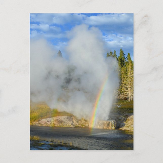Double Rainbow at Riverside Geyser, Yellowstone Postcard (Front)