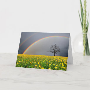 Double Rainbow Card