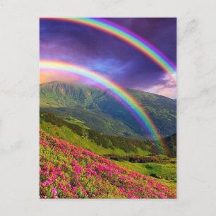 Double Rainbow Landscape Postcard