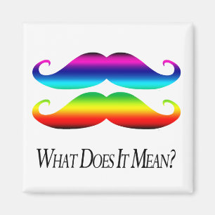 Double-Rainbow Moustaches Magnet