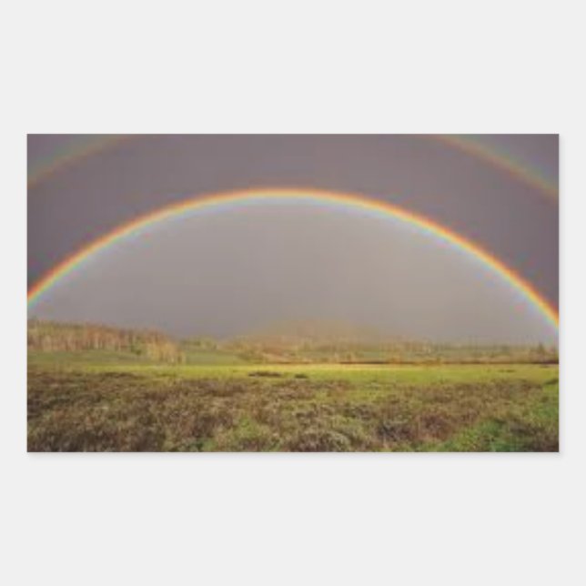 DOUBLE RAINBOW ON A STICKER (Front)