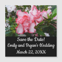 Double Red and White Azaleas Spring Floral