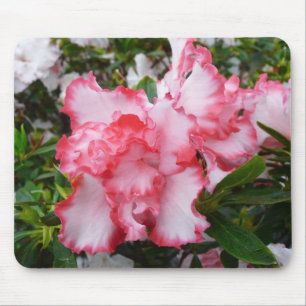 Double Red and White Azaleas Spring Floral Mouse Mat