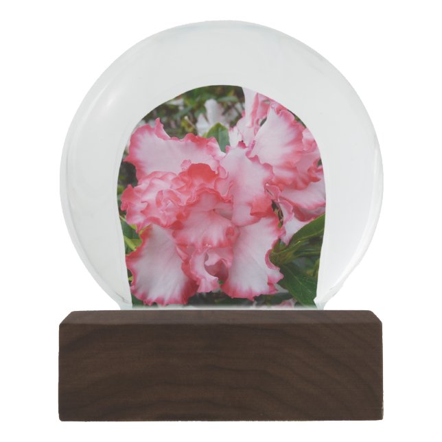 Double Red and White Azaleas Spring Floral Snow Globe (Front)