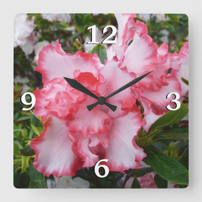 Double Red and White Azaleas Spring Floral Square Wall Clock (Front)