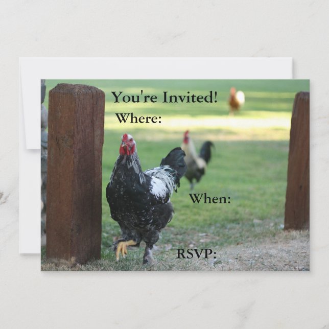 Double Sided Invitation, Rooster Invitation (Front)