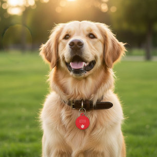 Double-sided pet ID tag, silent collar accessory Tag