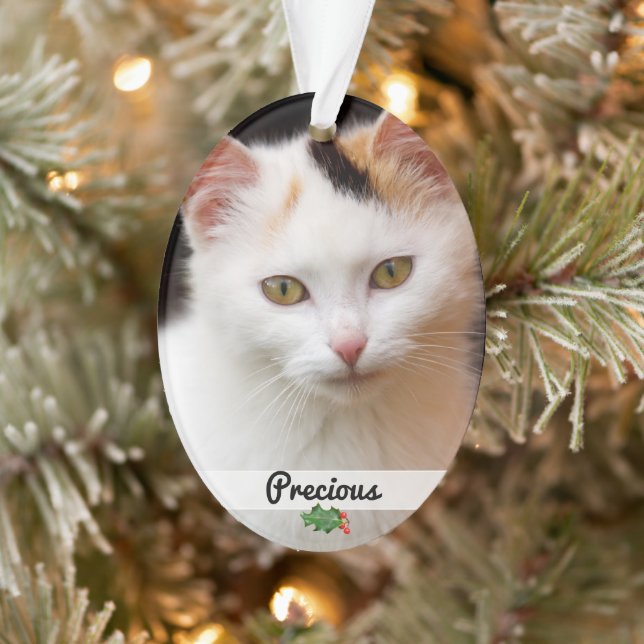 Double Sided Pets Photo Name Acrylic Ornament (Tree)