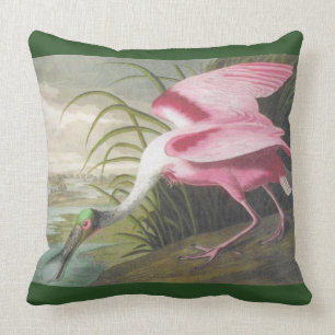 Double-sided Pink Green Audubon Spoonbill Bird Cushion