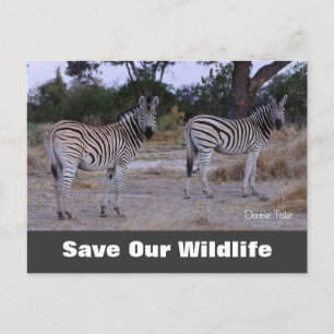 Double Take, Save Our Wildlife Postcard