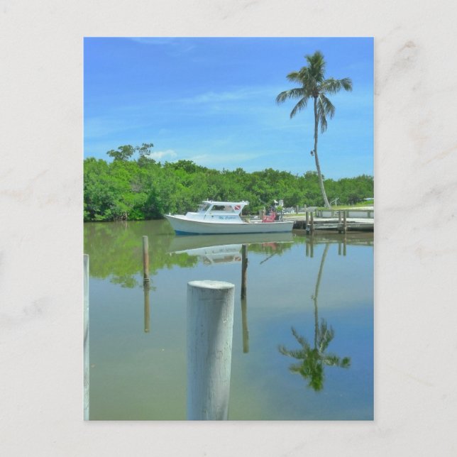 Double The Beauty Postcard (Front)