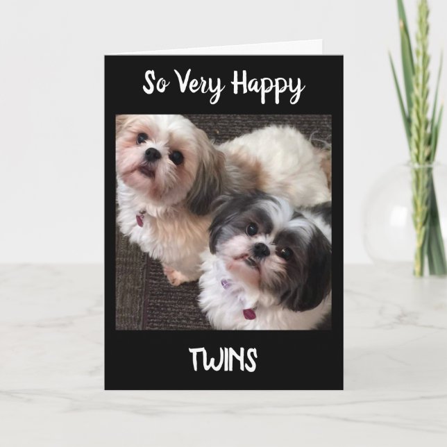 DOUBLE THE LOVE ON THE BIRTH OF YOUR TWINS CARD (Front)
