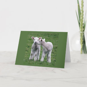 DOUBLE THE WISHES FOR "YOUR BIRTHDAY" FROM LAMBS CARD