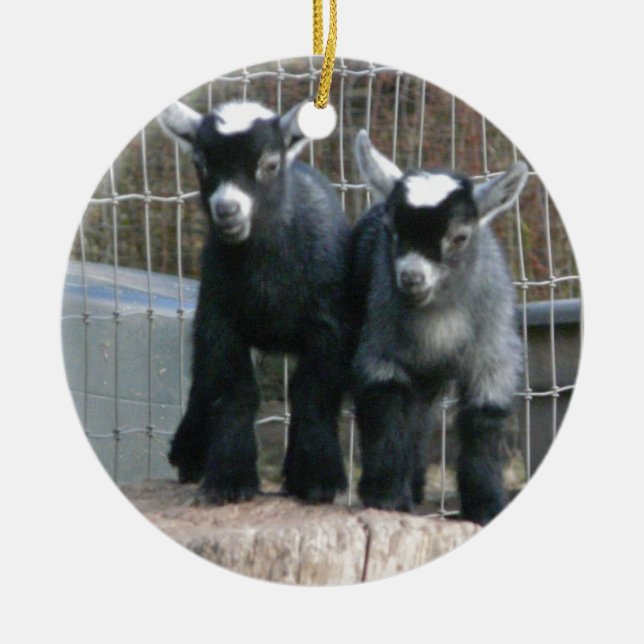 Double Trouble Ceramic Tree Decoration (Front)