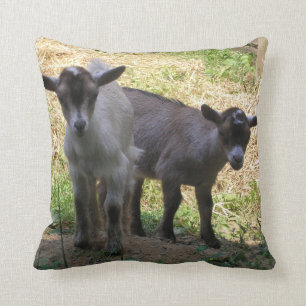 Double Trouble! Cushion