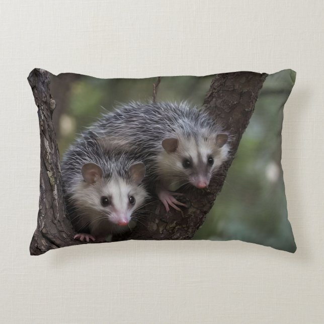 Double Trouble in the Canopy: Twin Possums Decorative Cushion (Front)