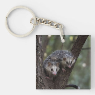 Double Trouble in the Canopy: Twin Possums Key Ring