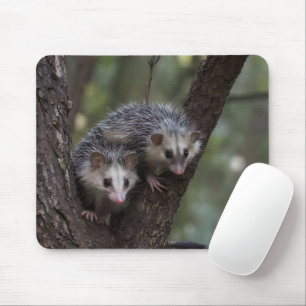 Double Trouble in the Canopy: Twin Possums Mouse Mat