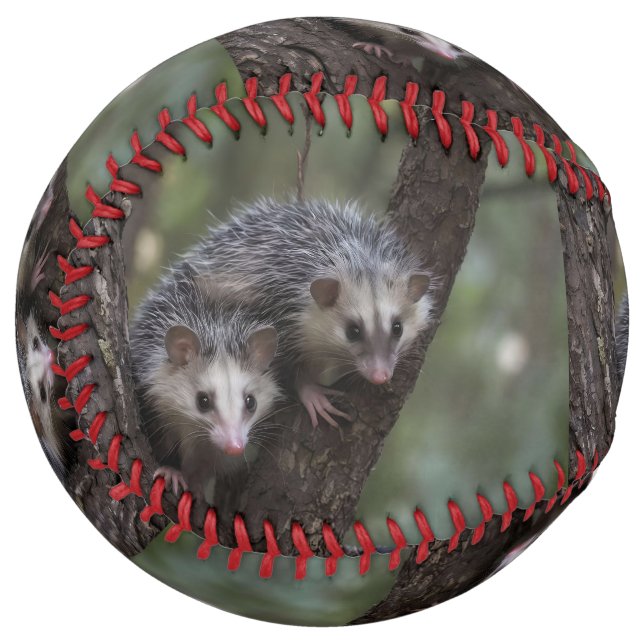 Double Trouble in the Canopy: Twin Possums Softball (Front Left)