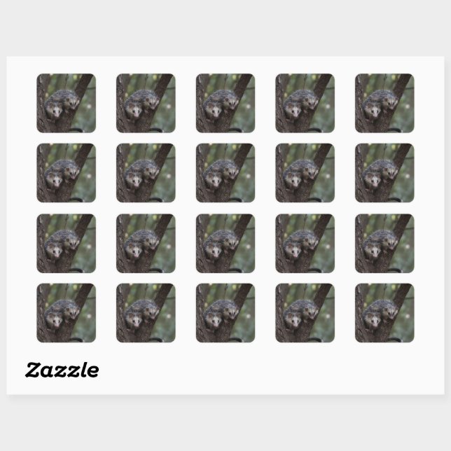 Double Trouble in the Canopy: Twin Possums Square Sticker (Sheet)