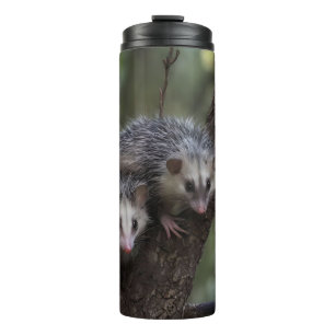 Double Trouble in the Canopy: Twin Possums Thermal Tumbler