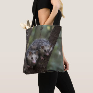 Double Trouble in the Canopy: Twin Possums Tote Bag