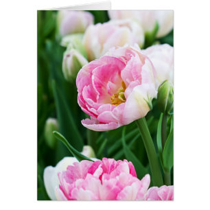 Double Tulips Spring Garden Custom Text