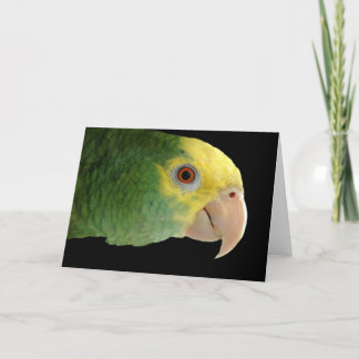 Double Yellowhead Amazon Note Card